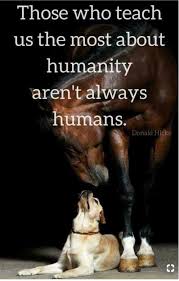 How People Feel About And Treat Animals Tells Us Everything We Need To Know About Them Inspirational Horse Quotes Horse Quotes Equestrian Quotes