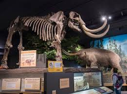 We did not find results for: Things To Do In Rochester Ny Discover Museums Family Fun