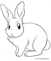 Les lapins sont de petites créatures mignonnes. Coloriage Lapin Mignon En Couleur Et Dessin Gratuit A Imprimer Dessine Les Coloriages Lapin Mignon En Couleur De D Coloriage Lapin Dessin Gratuit Dessin Lapin