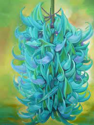 It's exciting to discover him finding the faces, the places, t. The Amazing Jade Vine Flower Jade Vine Rare Flowers Beautiful Flowers