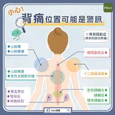 ▲背痛可能是胰臟癌警訊。 （示意圖，非當事人／攝影者michael sauers,flikr cc license）. å°å¿ƒ èƒŒç—›ä½ç½®å¯èƒ½æ˜¯è­¦è¨Š Hehoå¥åº·
