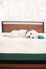 Cooling Gel Memory Foam Icoil Hybrid Queen Mattress Gel Foam Mattress Foam Mattress Mattress