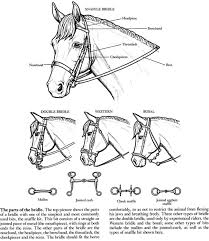 This is another picture of cowboy with horse. Welcome To Dover Publications Horse Coloring Books Coloring Books Coloring Book Pages