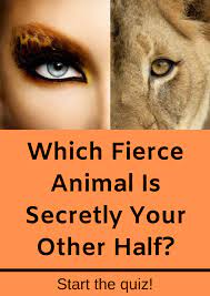 Which Fierce Animal Is Secretly Your Other Half What Animal Are You Fierce Animals Animal Quiz