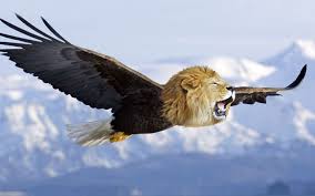 68 Unusual Cat And Bird Hybrids Bred In Photoshop Add Yours Cute Animals Animals Feline