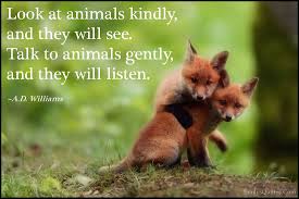 Look At Animals Kindly And They Will See Talk To Animals Gently And They Will Listen Popular Inspirational Quotes At Emilysquotes Inspirational Animal Quotes Animal Lover Quotes Animal Love Quotes