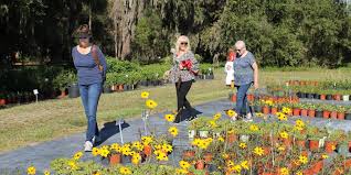 We have been in business for over 30 years, making green bay a greener place to live and work. Sweet Bay Nursery Florida Native Plants Butterfly Plants Florida Native Plants Native Plants Butterfly Plants