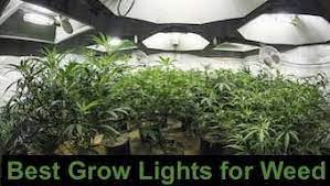 During the various phases of plant growth, grow lights need to flash out during 450w led plant growing light, meizhi lamps kits with dual switches full spectrum for hydroponic indoor greenhouse tent plants veg flowers. Top 30 Best Grow Lights For Weed 2021 Reviews 420 Big Bud