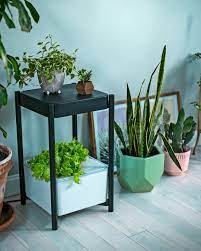 Indoor Freshness With Miracle Gro Bluecollarprep Versatile Menswear Style Blogger