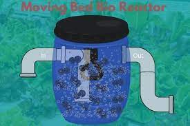 Moving Bed Biofilm Reactor Aquaponic Biofilter Flourishing Plants
