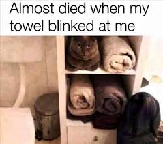 Minnetonka Moccasins Moccasins Coupon Womens Moccasins Mens Moccasins Funny Animal Jokes Funny Animal Quotes Really Funny Memes