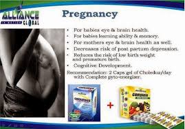 Image result for complete phyto energizer benefits
