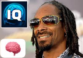 According to IMDB, Snoop Dogg has an IQ of 147, which is considered to be  the level of a "highly gifted genius" 🤌