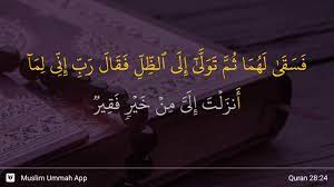 Maka musa memberi minum ternak itu untuk ayat ini sekaligus mengisyaratkan kepada kita agar senantiasa meminta kepada allah dalam semua kebutuhan kita, baik yang terkait dengan agama. Al Qasas Ayat 24 Youtube