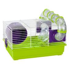Pin En Cages A Rongeurs
