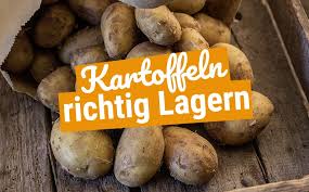 Wann eine kartoffel giftig ist und woran du das erkennst, zeigen wir dir hier. Vorsicht Giftig Darf Man Keimende Kartoffeln Essen The Impish Ink