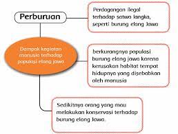 Konservasi untuk melestarikan elang jawa. Pembelajaran 5 Tema 9 Subtema 1 Manusia Dan Lingkungan
