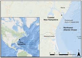 Please note, if you agree a pest control appointment then miss it, this will count as one of your visits. Sustainability Free Full Text Harnessing Remote Sensing Derived Sea Level Rise Models To Assess Cultural Heritage Vulnerability A Case Study From The Northwest Atlantic Ocean Html
