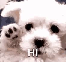 Dog Waving Gifs Tenor You can choose the most popular free dog waving gifs to your phone or computer. dog waving gifs tenor