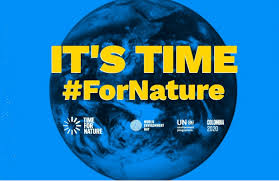 Dal 1972, ogni 5 giugno si celebra la giornata mondiale dell'ambiente, festività proclamata dall'assemblea generale delle nazioni unite per sensibilizzare la protezione del pianeta. Giornata Mondiale Dell Ambiente E L Ora Della Natura