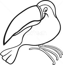 Coloring pages for kids toucan coloring pages. Cartoon Toucan For Coloring Book Vector Illustration C Izakowski 987741 Stockfresh