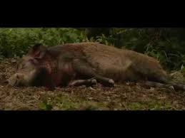 Cold Steel 2017 Actiune Subtitrat In Romana Hd Youtube Cold Steel Cold Steel