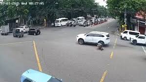 LTO 7 suspends driver in viral Cebu road crash