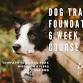 Dog Foundation 6 week course - Thursday 30th event image