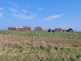 My Manx great grandparents.Robert Kneale was a shepherd from sulby and  Margaret Kneale nee Watterson was from Colby. He spoke mostly Manx and  disliked the English. They had five daughters and one