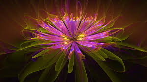 I colori, le forme ed i profumi che contraddistinguono i fiori li rendono unici ed amati da moltissime persone. Artistico Fiori 4k Ultra Hd Wallpaper Sfondo 3840x2160
