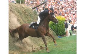 Im so blessed to have seen both of. Hickstead Derby Bank How Not To Do It Horse Hound