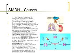 Di Siadh And Cerebral Salt Wasting Syndrome