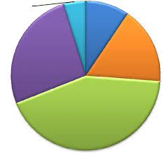 Pie Chart Showing The Age Bracket Of The Respondents