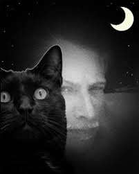 TODAY IS OUR MEMORIAL DAY TO REMEMBER ALL OUR PASSED OVER KITTIES PLEASE  KEEP POSTS AND COMMENTS KIND AND CARING