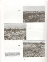 Image result for Mimosa 1988 Tracer