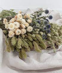 It is possible that products vary in size, shape and color. Dried Flowers From Lamboo Dried Deco Producer Of Dried Flowers