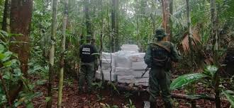 Ministerio Público coordinó incineración de más de cinco toneladas