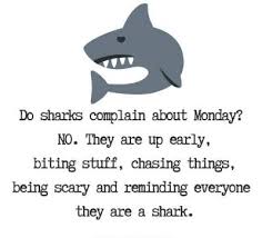 It makes you lean against tables, chairs, floors, walls and ugly people. 200 Monday Motivational Quotes For Work The Random Vibez