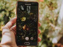 Plantnet has 1+ million users. 9 Best Plant Identification App Choices Of 2020 Tested Reviewed