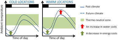 Animals that are diurnal are active during the day. Time And Ecological Resilience Can Diurnal Animals Compensate For Climate Change By Shifting To Nocturnal Activity Levy 2019 Ecological Monographs Wiley Online Library