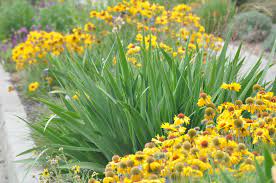 Salt lake city is located in northern utah. Plant Lists