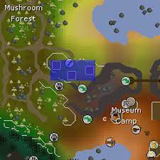 The necessary seeds to grow them can be obtained from bird nests, drops from monsters, farming contracts, or by other. Hardwood Tree Patch Old School Runescape Wiki Fandom