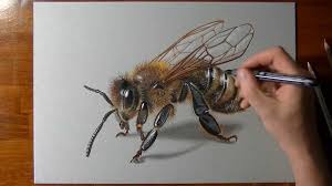 Check spelling or type a new query. How To Draw A 3d Bee Youtube