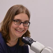 Integrating Transcriptional Data And Cellular Function