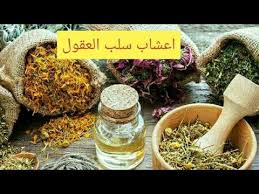 اعشاب القبول وسلب العقول Youtube Food Condiments Plants