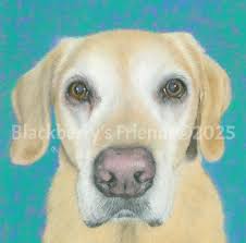 How to keep soft pastel paintings fresh?