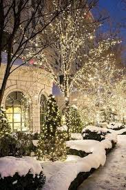 Christmas Lights White Christmas Lights Christmas Scenes Outdoor Christmas