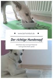 Der Richtige Napf Fur Deinen Hund Hunde Gesunde Hunde Und Hundenapf
