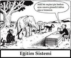 Egitim Sistemi Education System Egitim Ders Programlari