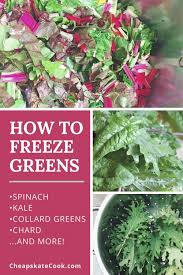 Pin On Freezing Food